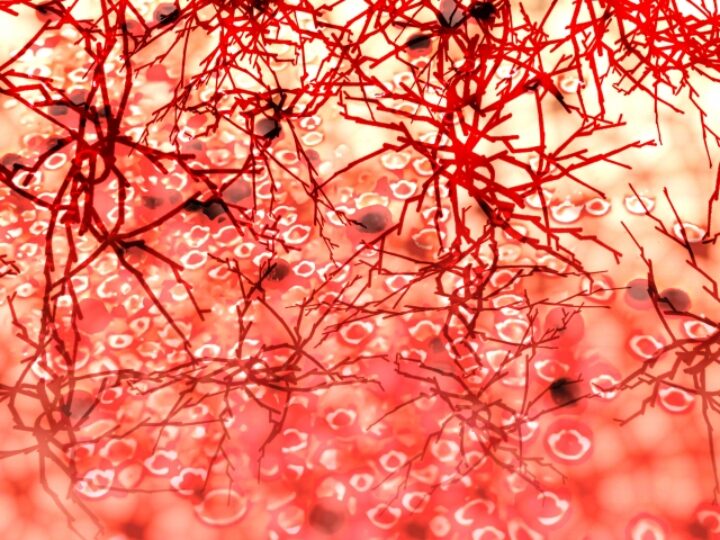 1690075_s (1) 1690075_s (1)